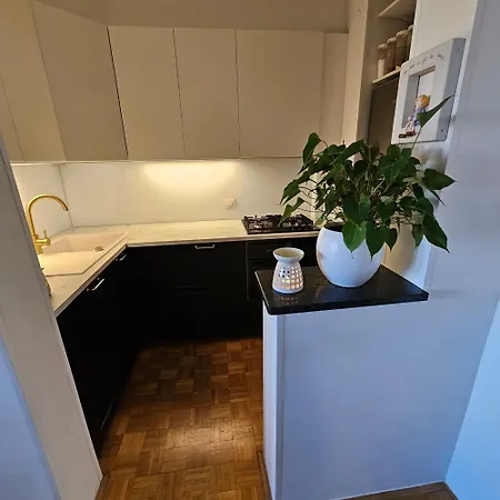 Green Deluxe Apartment